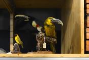 natuurmuseum brabant tilburg 1-2023 6098